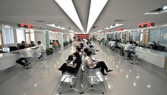 打造誠(chéng)信社會(huì) 服務(wù)經(jīng)濟(jì)發(fā)展