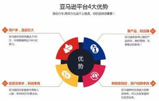 跨境電商亞馬遜店群,批量開店創業指導,亞馬遜erp系統貼牌定制